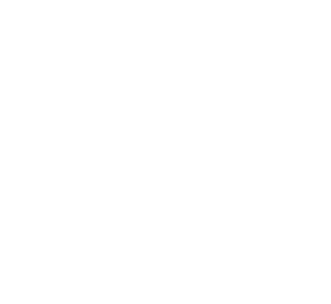 FMM230 OLD.png