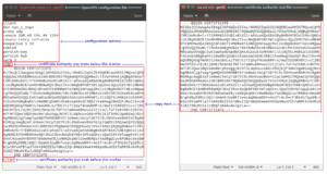 Ovpn config file linux.png