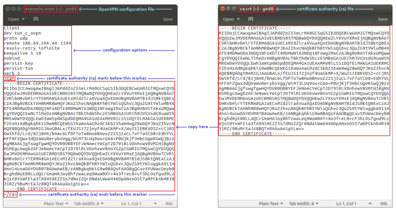 File:Ovpn config file linux.png
