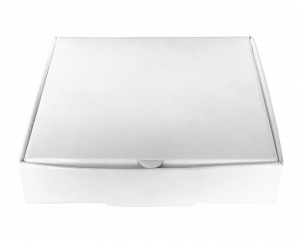 Small white box.png