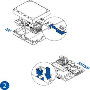 FM nuasmenintas 600.png