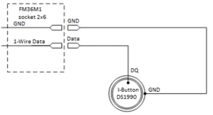 Ibutton FM36M1.png