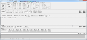 Terminal window 1.png