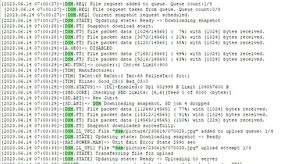 DSM LOG.JPG